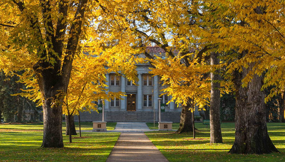 Fall colors glow on the Colorado State University campus